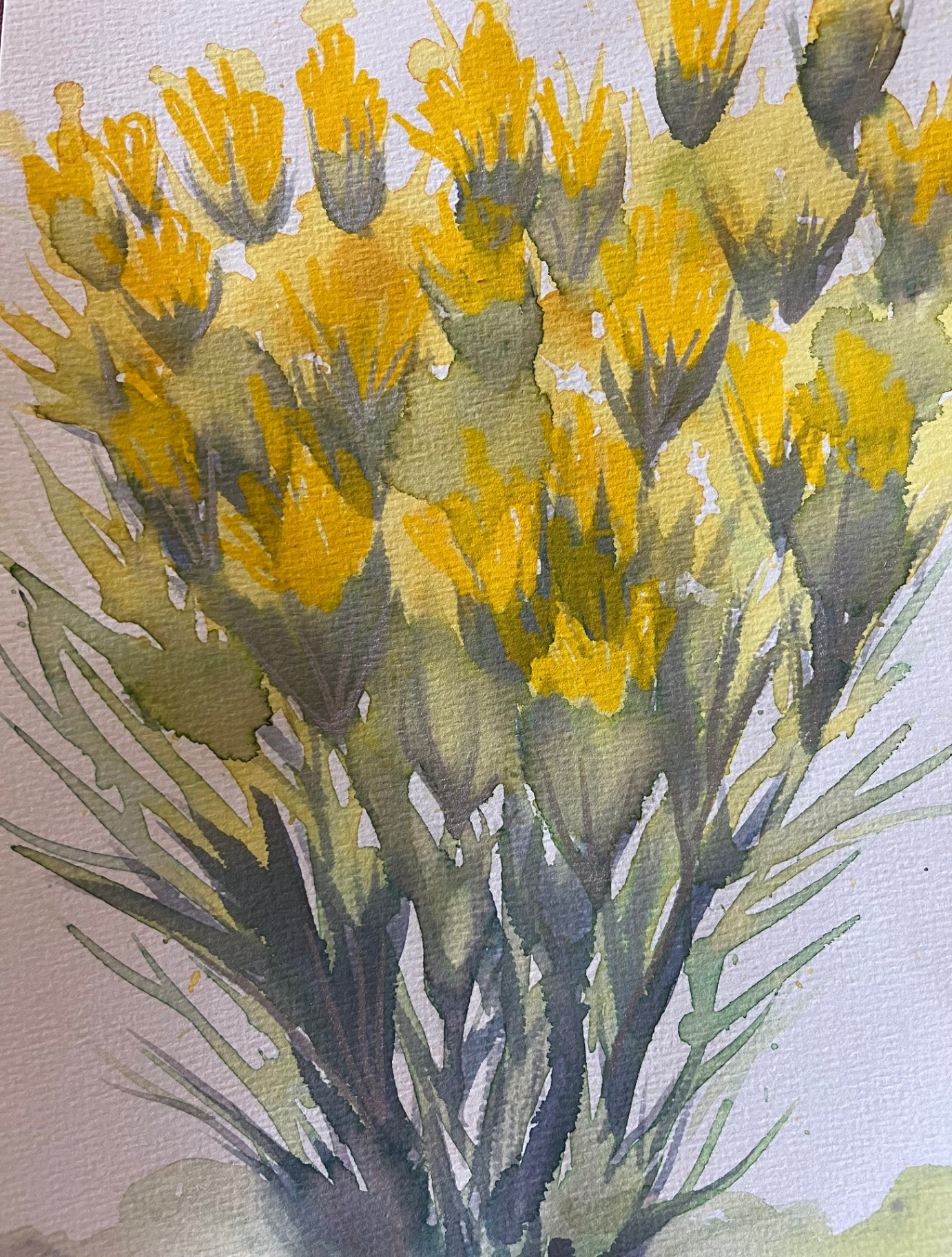Watercolor painting of golden rabbitbrush blooms and sage-green branches